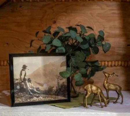 Dağ evi Pod Reglami Zakopane